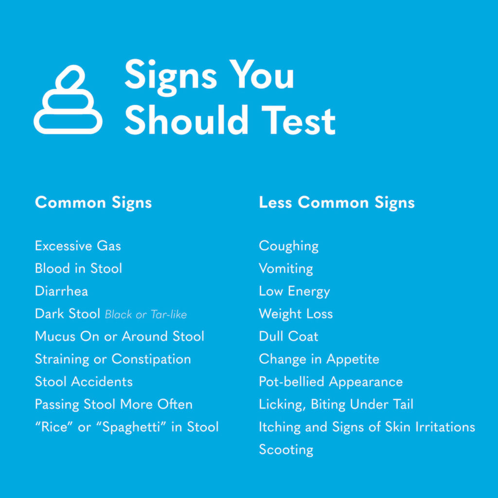 Wag MSPL Dog Signs You Should Test 1 1