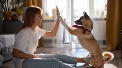 Wag How Much Will Your New Dog Cost You 6 Wag 20200713230304860900BhcMI
