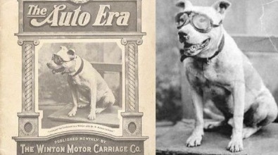 Bud, the pitbull hitched a ride on the first road trip across the United States. In 1903, Dr. Horatio Nelson Jackson made history by driving from San Francisco to New York City in his Winston Vermont automobile. Bud's goggles are now in the Smithsonian Institution.