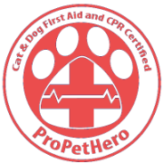 Wag Dog And Puppy (And Cat) CPR 2 Wag 20200718185643890400pnfq4