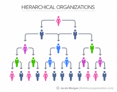 Wag hierarchies