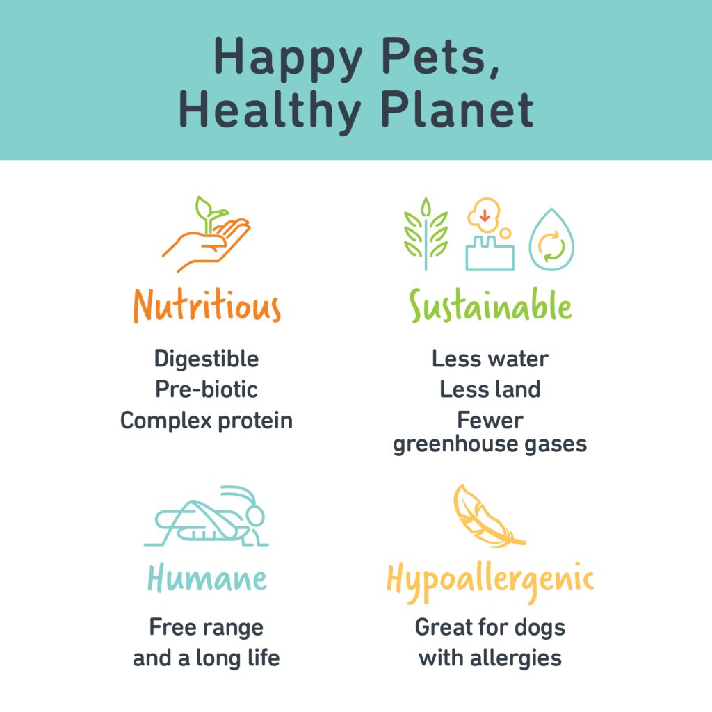 Wag Amazon banner Happy Pets Healthy Planet 1