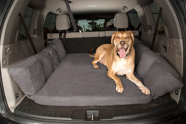 Wag Clearance List SUV Bed 1