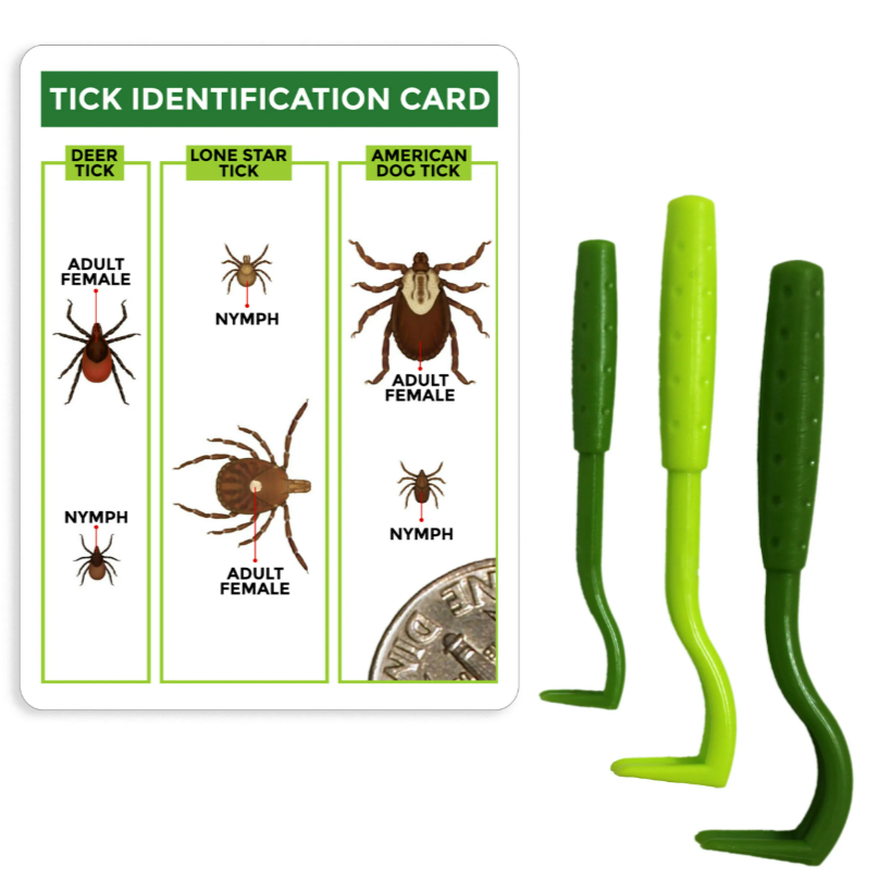 tick identification texad