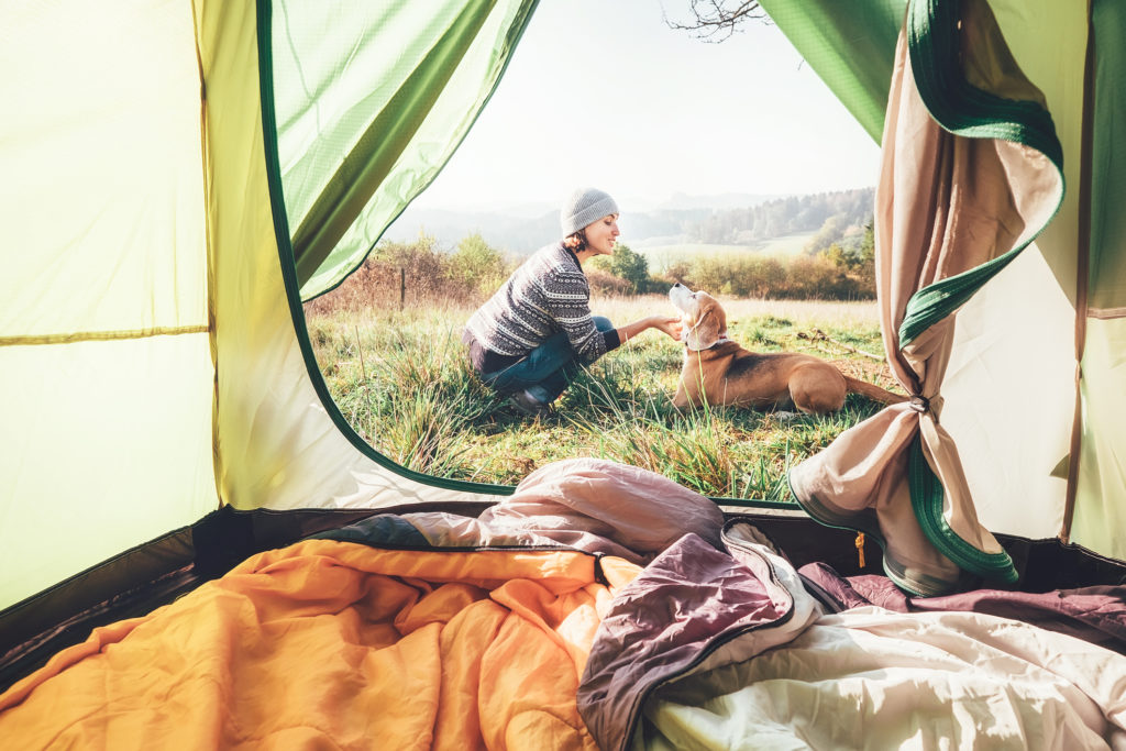 Woman and her dog tender scene near the camping tent. Active leisure, traveling with pet concept image